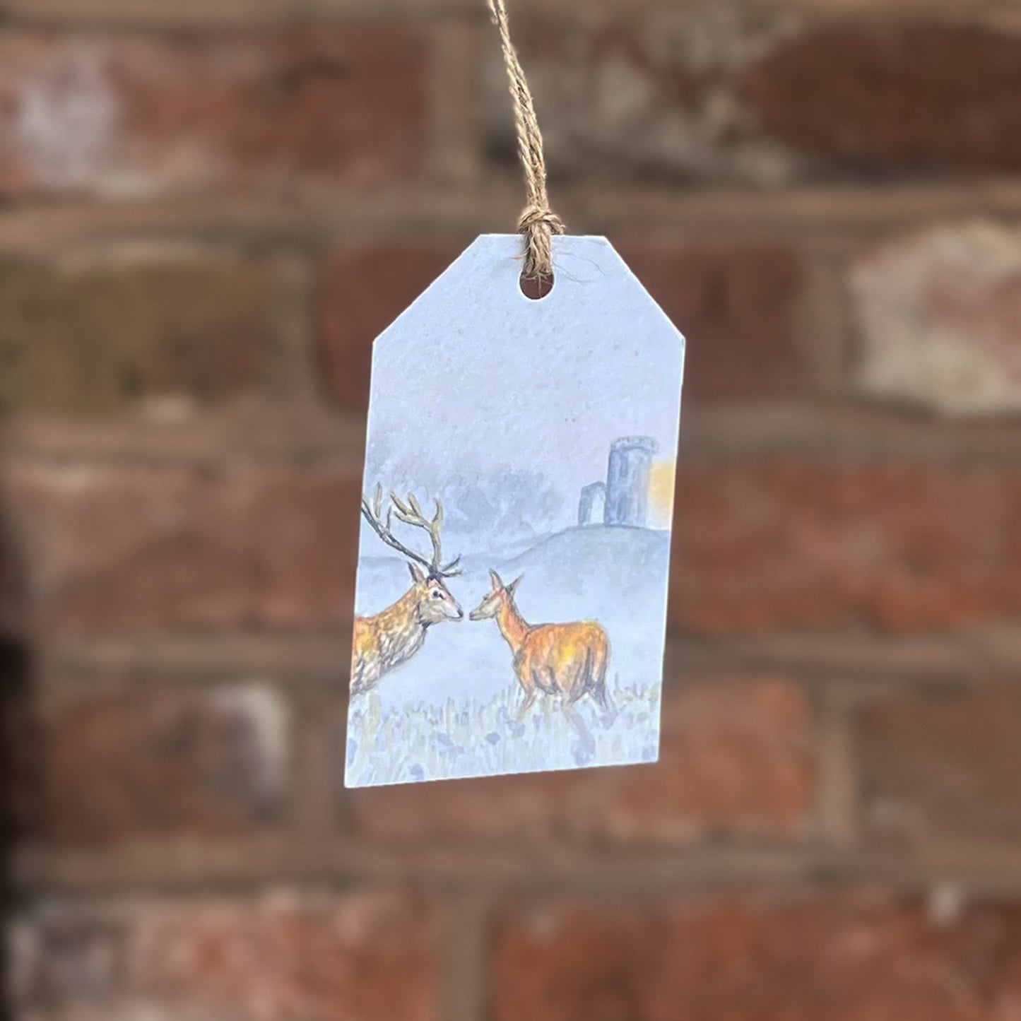 Bradgate Park Gift Tags 3pck