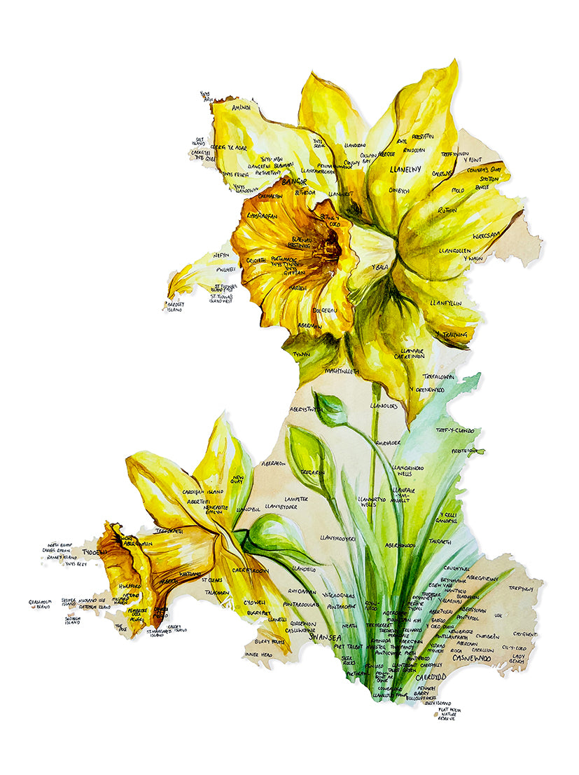 Welsh Daffodil Map Giclee Fine Art Print