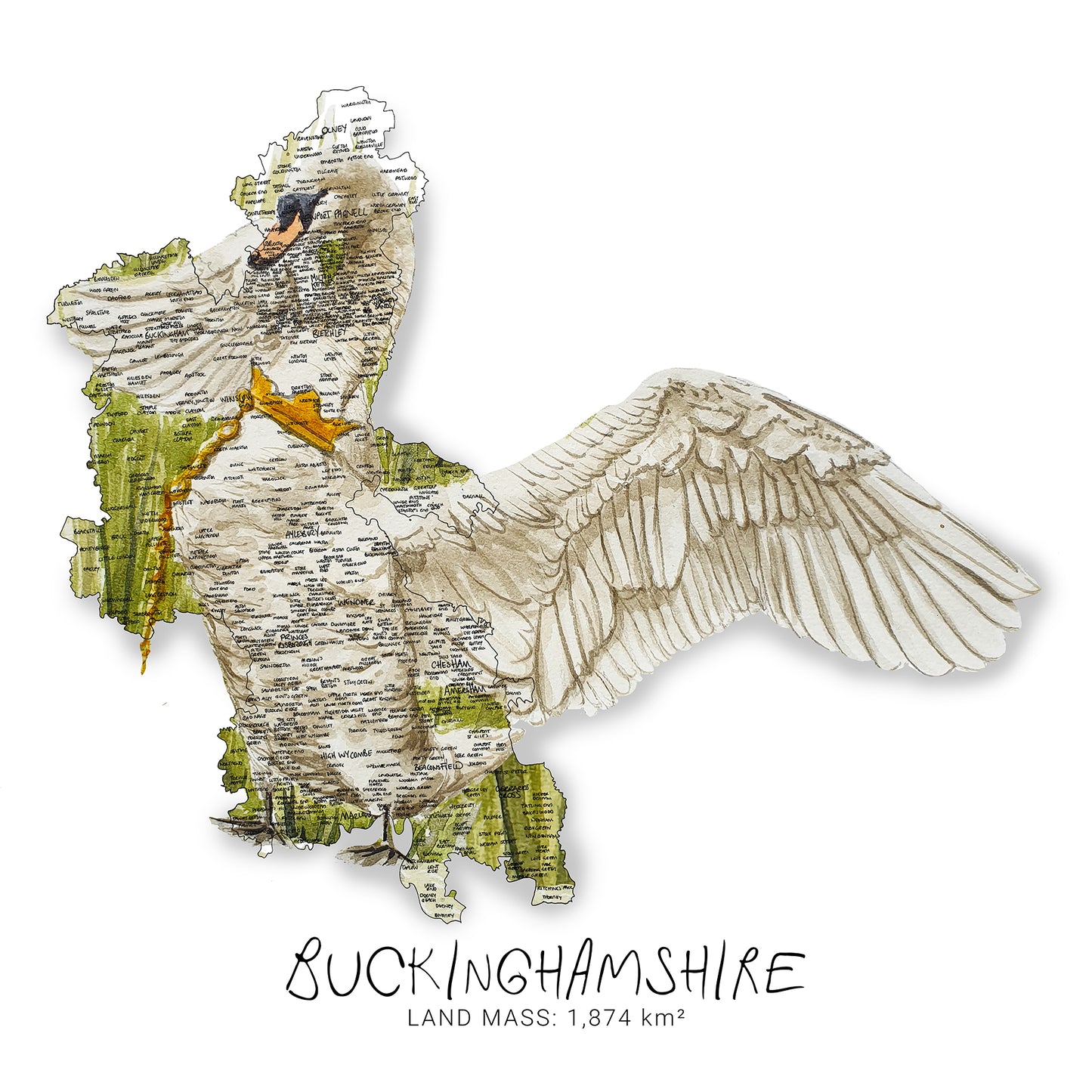 Buckinghamshire Swan Map Card
