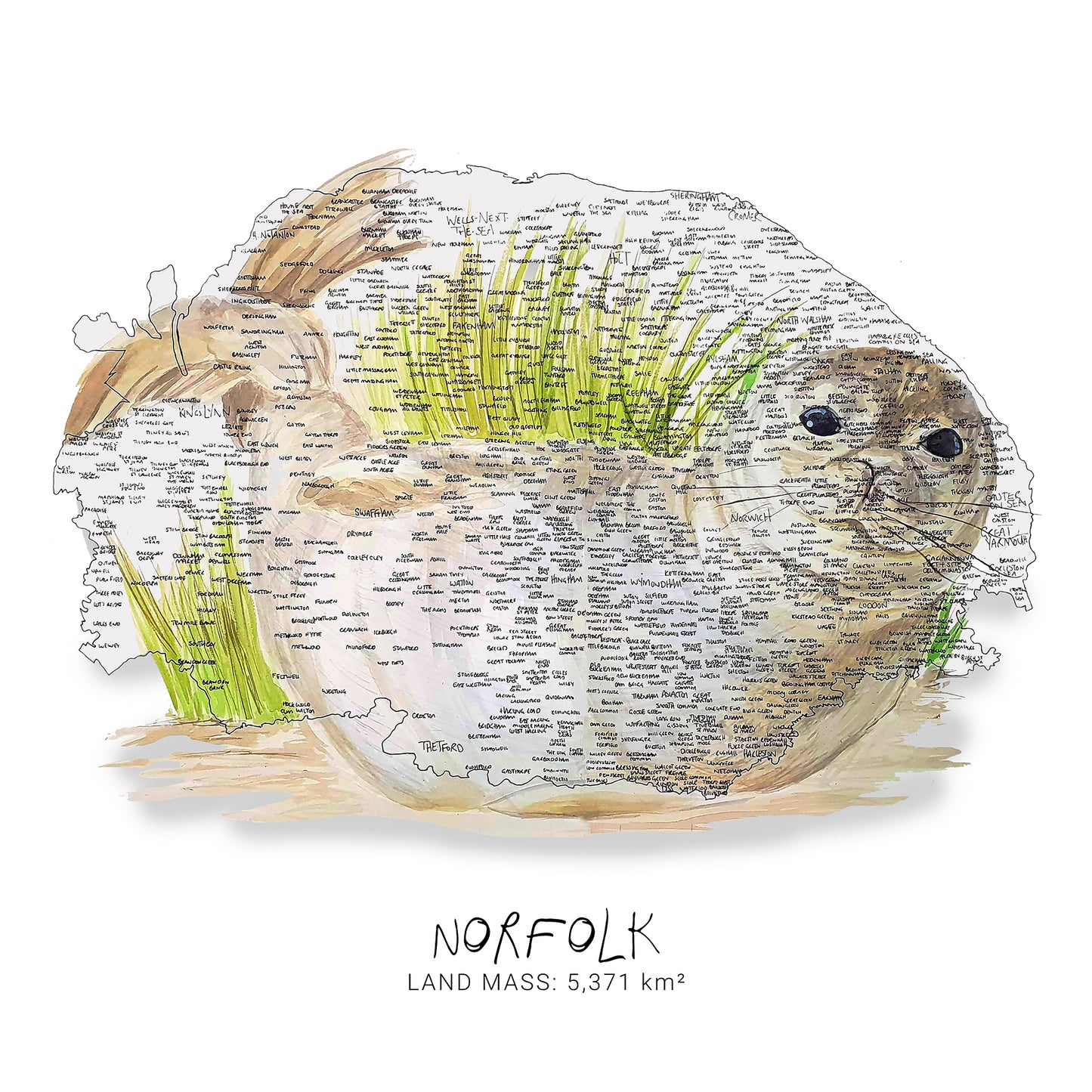 Norfolk Seal Map Print