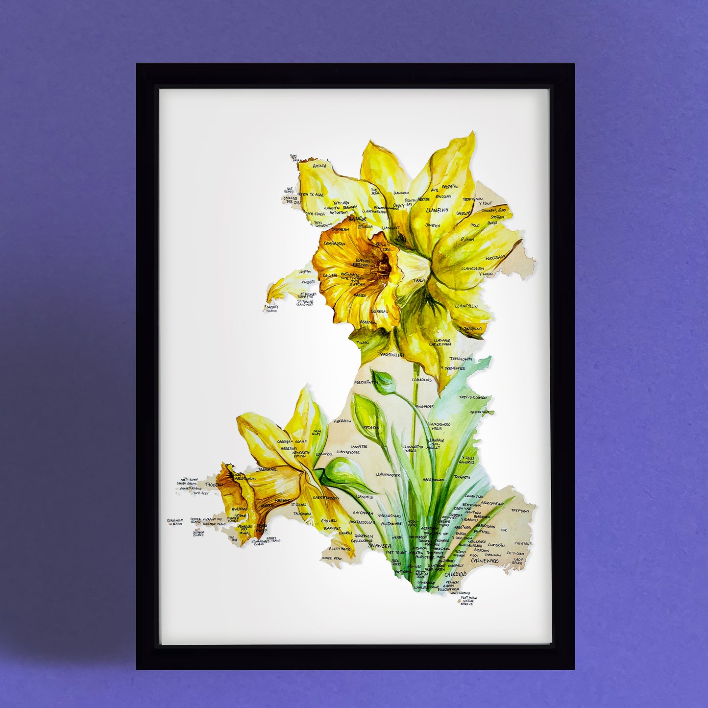 Welsh Daffodil Map Giclee Fine Art Print