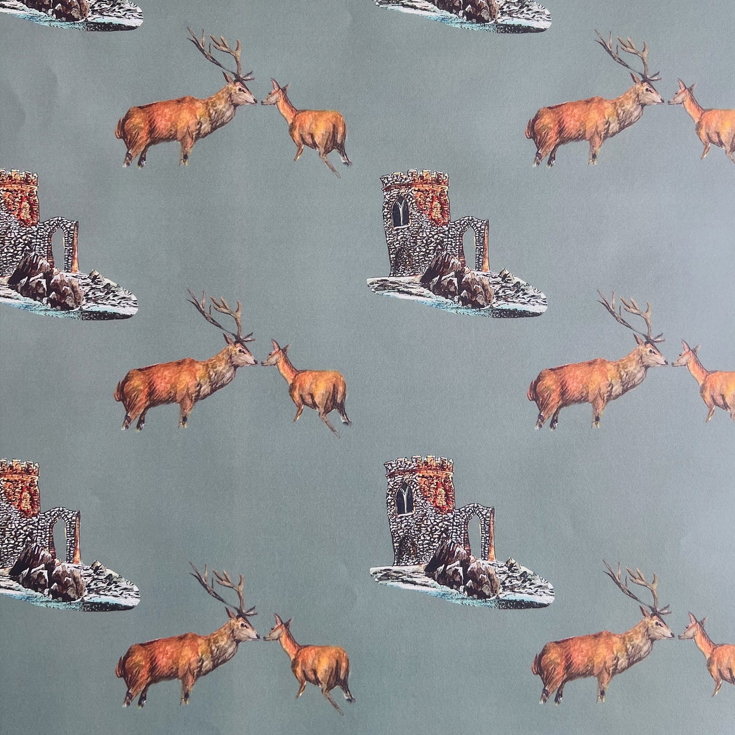 Bradgate Park Wrapping Paper