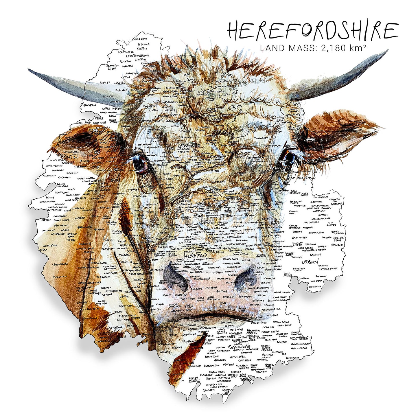 Herefordshire Cow Map Print