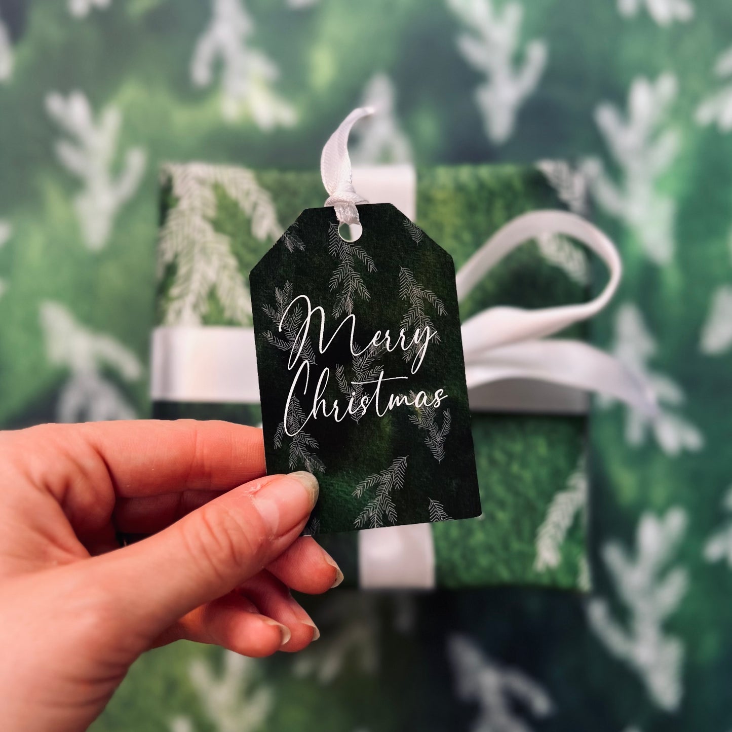 Spruce Gift Wrap