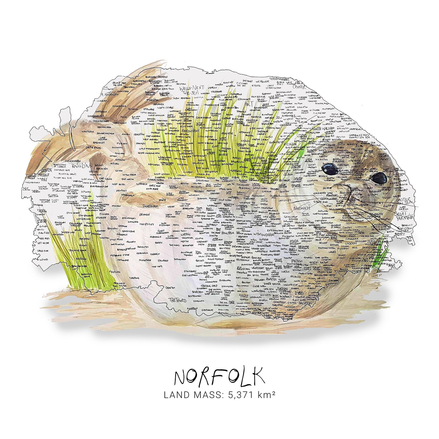 Norfolk Seal Map Card