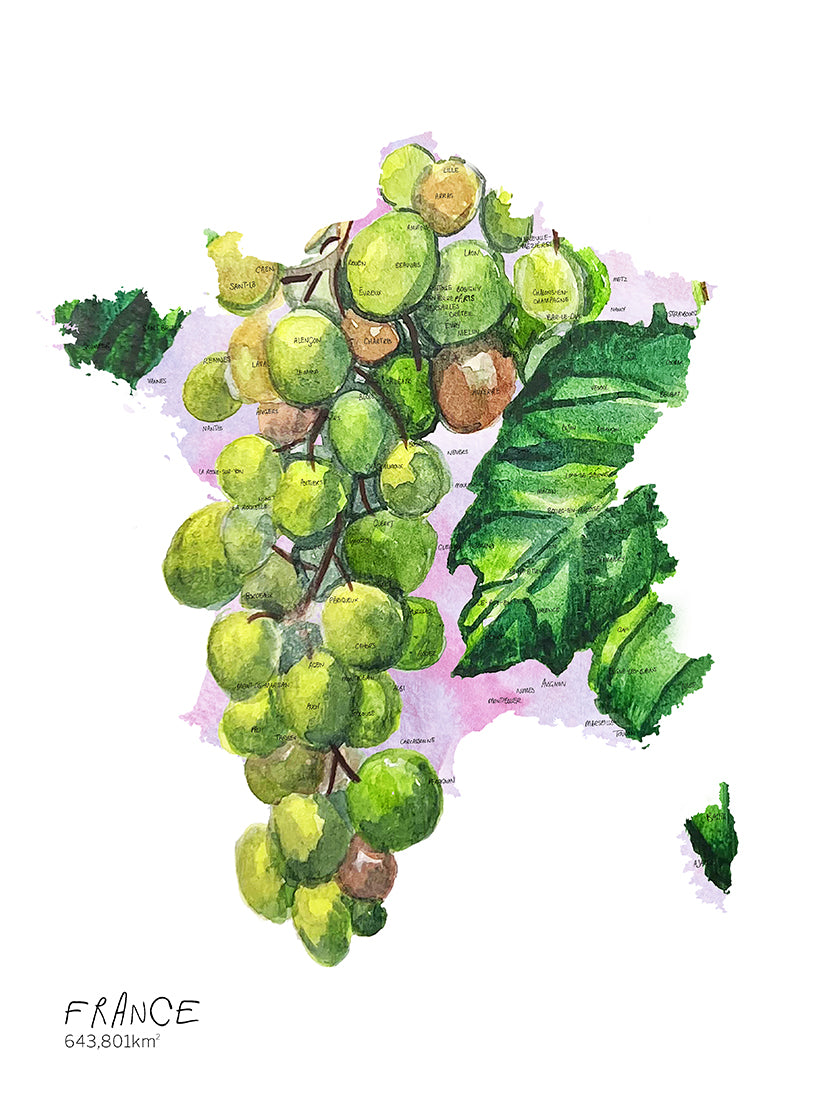 French Grapes Map Card