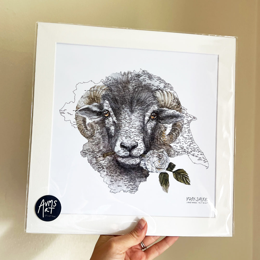 Yorkshire Swaledale Sheep
