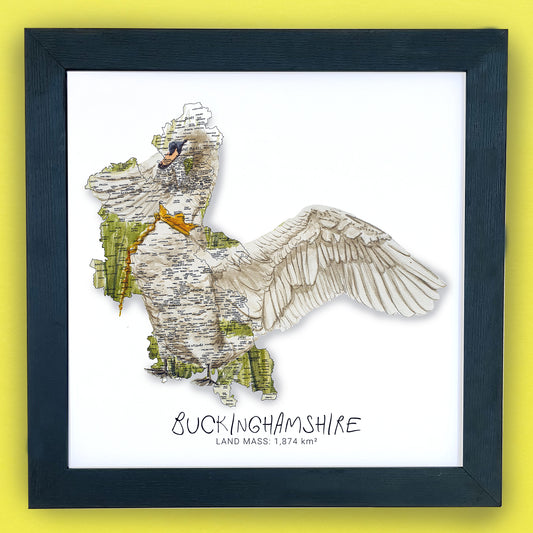 Buckinghamshire Swan Map Print