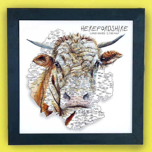 Herefordshire Cow Map Print