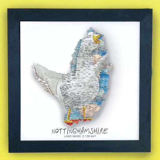 Nottinghamshire Goosey Goose Map Print